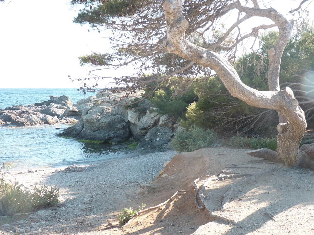 La Du Petit Port * Martigues